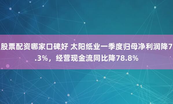 股票配资哪家口碑好 太阳纸业一季度归母净利润降7.3%，经营现金流同比降78.8%