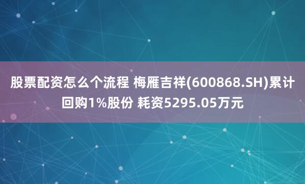 股票配资怎么个流程 梅雁吉祥(600868.SH)累计回购1%股份 耗资5295.05万元