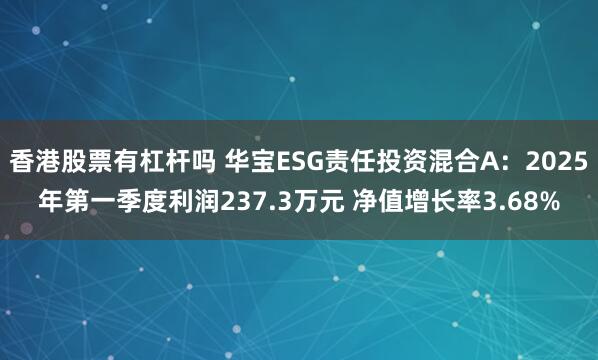 香港股票有杠杆吗 华宝ESG责任投资混合A：2025年第一季度利润237.3万元 净值增长率3.68%