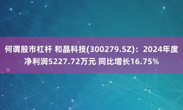 何谓股市杠杆 和晶科技(300279.SZ)：2024年度净利润5227.72万元 同比增长16.75%