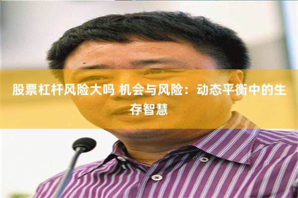 股票杠杆风险大吗 机会与风险：动态平衡中的生存智慧