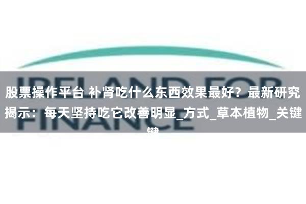 股票操作平台 补肾吃什么东西效果最好？最新研究揭示：每天坚持吃它改善明显_方式_草本植物_关键