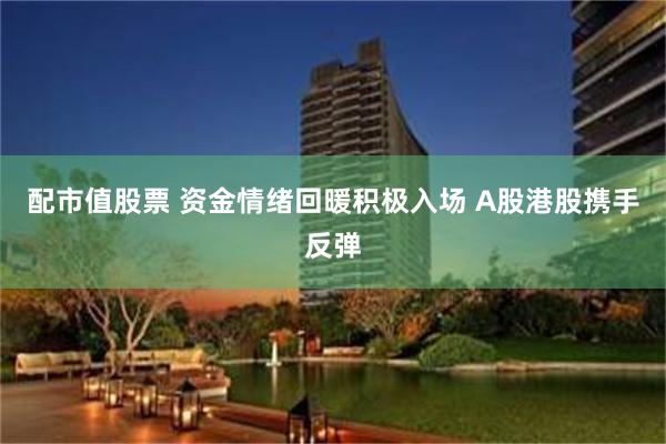配市值股票 资金情绪回暖积极入场 A股港股携手反弹