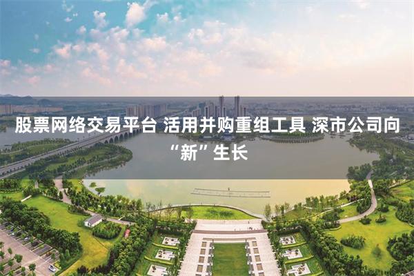 股票网络交易平台 活用并购重组工具 深市公司向“新”生长