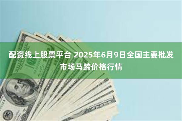 配资线上股票平台 2025年6月9日全国主要批发市场马蹄价格行情