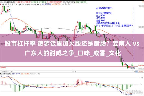 股市杠杆率 菠萝饭里加火腿还是腊肠？云南人 vs 广东人的甜咸之争_口味_咸香_文化