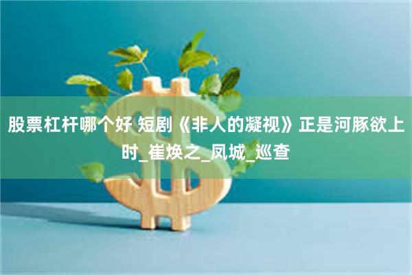 股票杠杆哪个好 短剧《非人的凝视》正是河豚欲上时_崔焕之_凤城_巡查